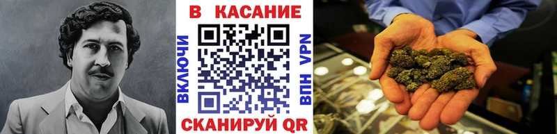  Cocaine Арамиль