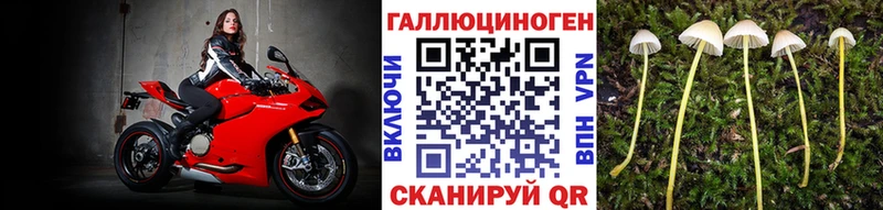 Галлюциногенные грибы мухоморы  Арамиль 