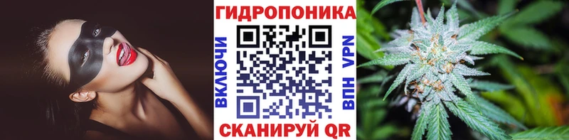 Каннабис MAZAR  Арамиль 